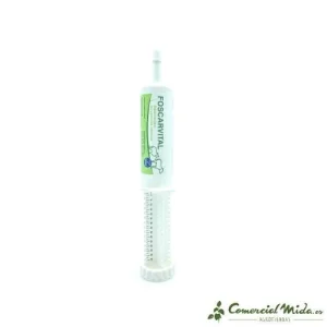 BRINA Foscarvital Récupération Intestinale 60ml